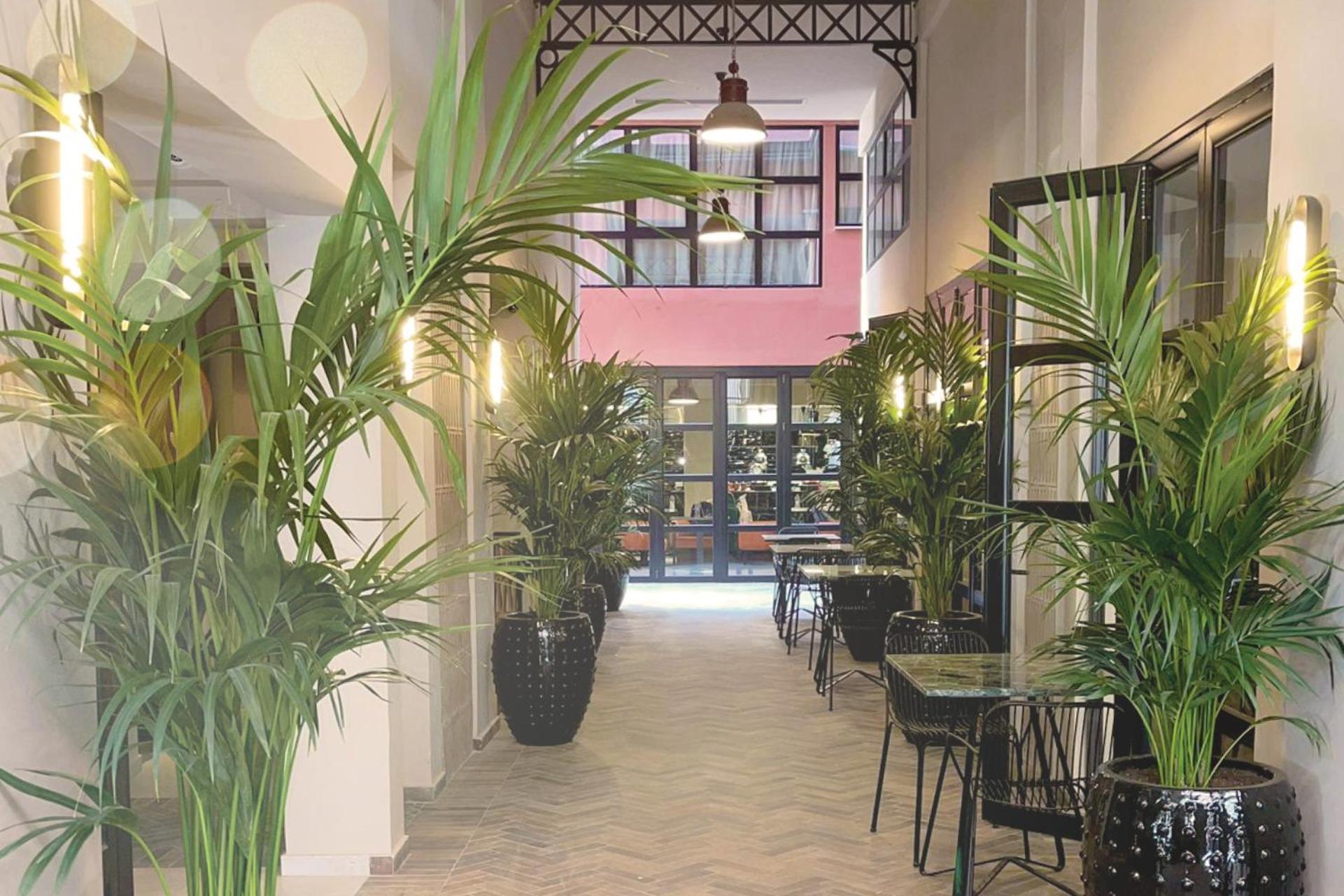 Anise, Aluma Hotels & Resorts Αθήνα Εξωτερικό φωτογραφία